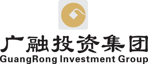 投资管理之道 广州市广融投资管理集团的实践与展望